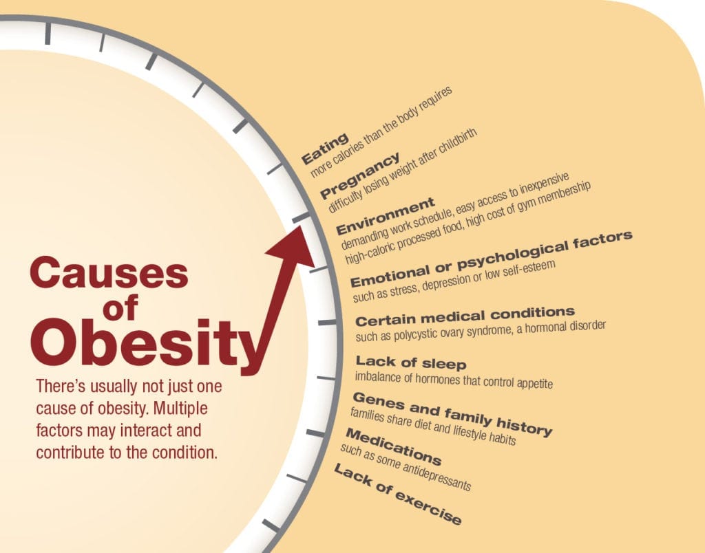 lack of exercise causes obesity essay