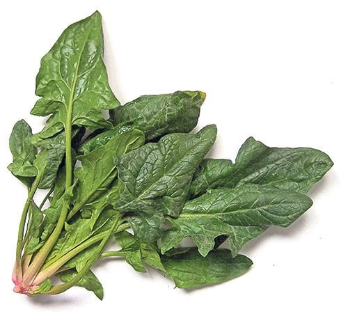 Know your spinach: Find the best of the bunch