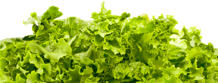 Leafy greens – a powerhouse of nutrition