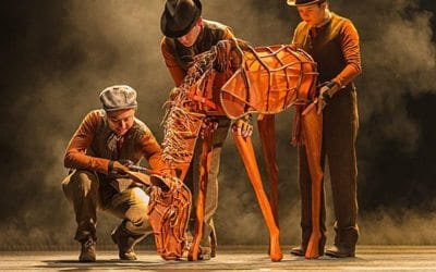 Actress Lavita Shaurice says 'War Horse' embraces universal themes