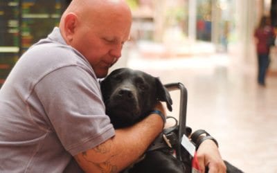 A war, a dog, and now a second chance