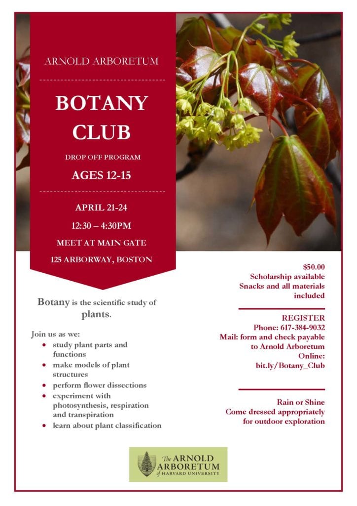 Botany Club for Teens