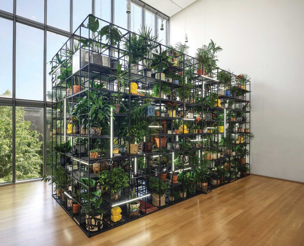 Cultivating art: Living plant material is artists’ medium in Gardner Museum exhibition