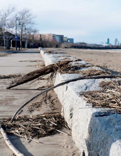 At Tenean Beach, city, state pull from nature’s toolbox to address coastal flood paths