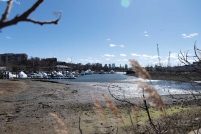 Coastal resilience efforts cross city lines at Island End River in Chelsea and Everett