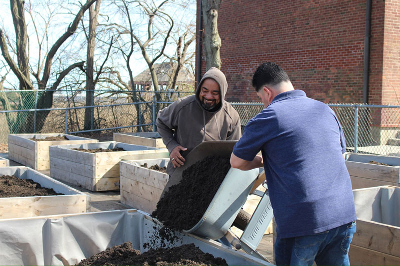 Two community members lift wheelbarrows filled with soil for plant beds.