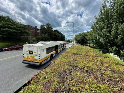 Green-roof bus shelters help cool 28 bus route