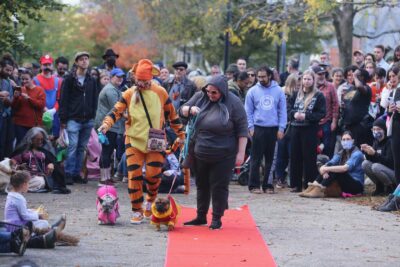 Must be Howloween — Jamaica Plain Canine Costume Parade is coming!