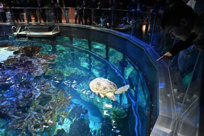 Cool things to do this February vacation week
