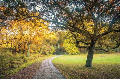 Franklin Park: Boston's urban oasis for generations