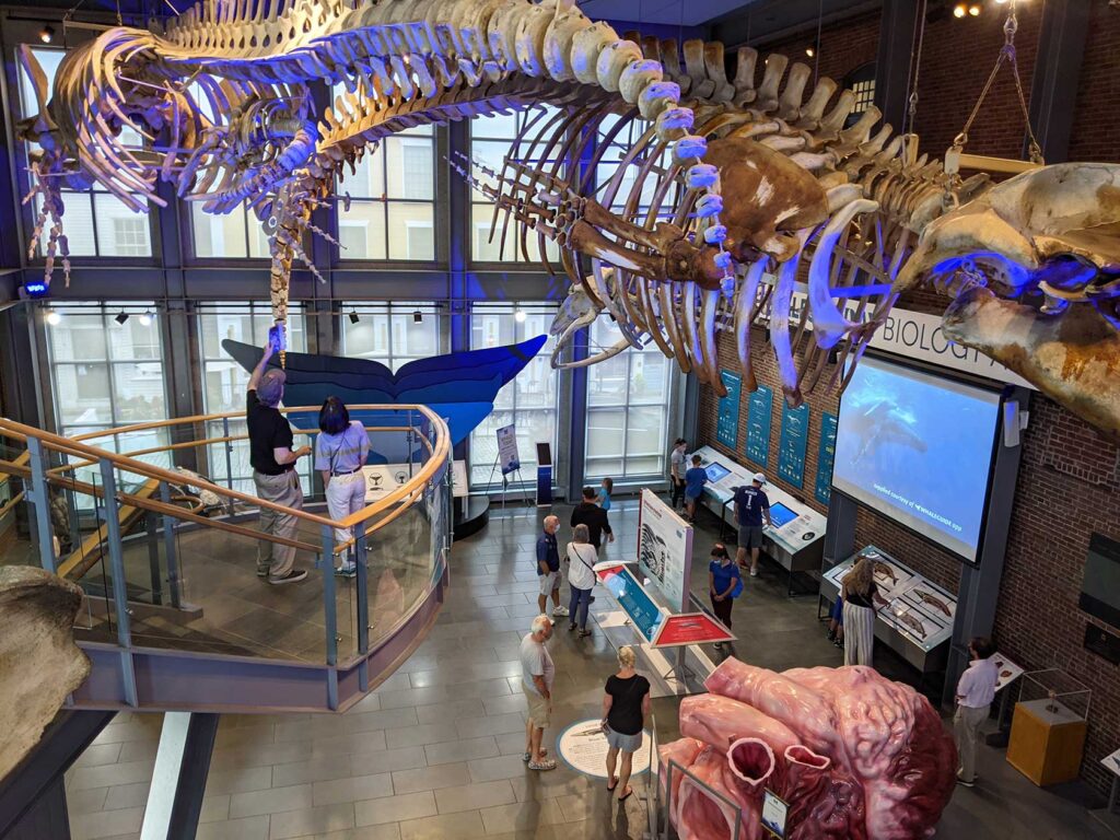 Visit a Mass. cultural institution for FREE each day in August