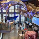 Visit a Mass. cultural institution for FREE each day in August