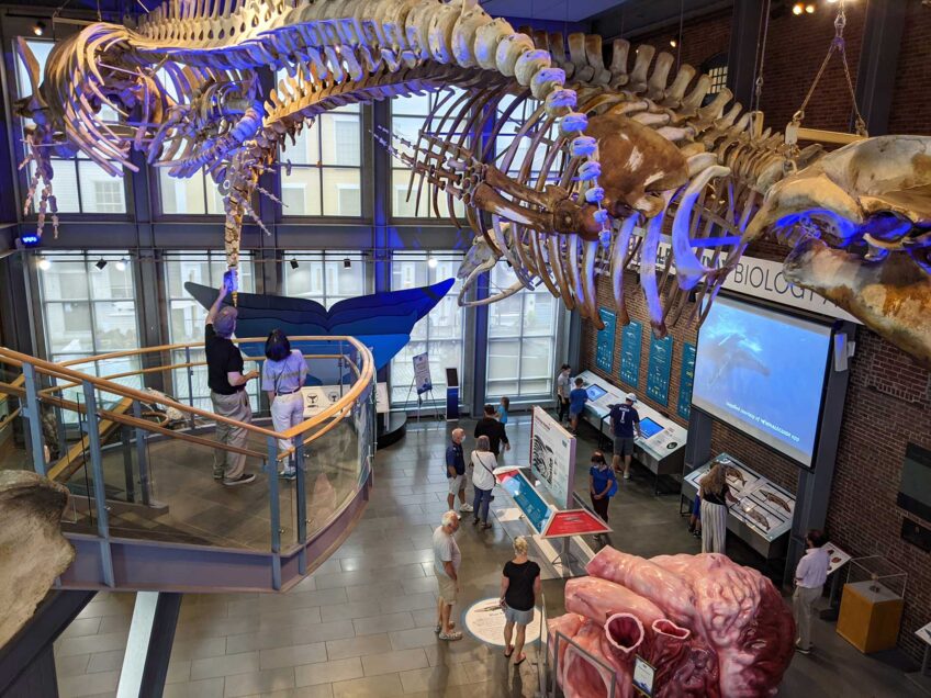 Visit a Mass. cultural institution for FREE each day in August